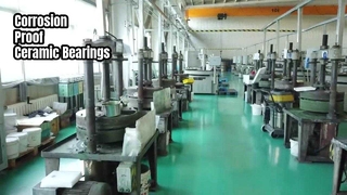 Paslanmaz Çelik Uygulamalar için Seramik Rulmanlar