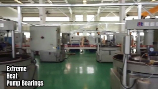 Aşırı Sıcaklık Pompa Rulmanları Silisyum Karbür