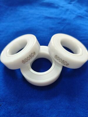 6004 6005 Full Ceramic Ball Bearing with ZrO2 Rings and Balls PTFE Cage and Seals P6/P5 Grade Precision