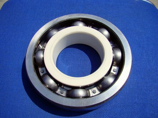 Hybrid Ceramic Bearings for Stainless Steel Application with High Efficiency and Customized Support